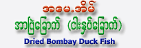 Dried Bombay Duck Fish (Raw)