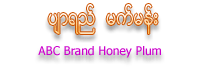 ABC Brand Honey Plum